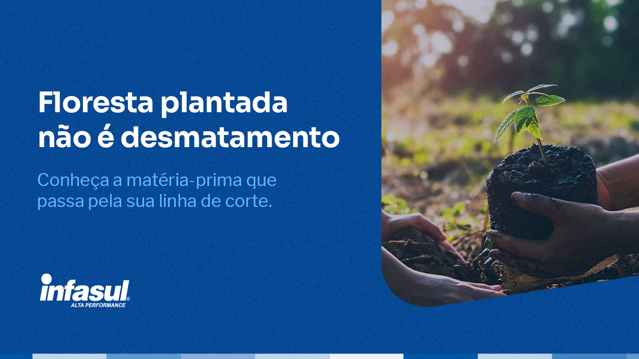 floresta plantada